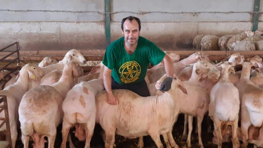 Jorge durante una jornada de esquila en España.
