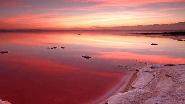 La Laguna Rosa de Torrevieja.