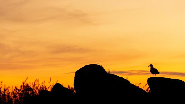 Atardecer en las islas Cíes.