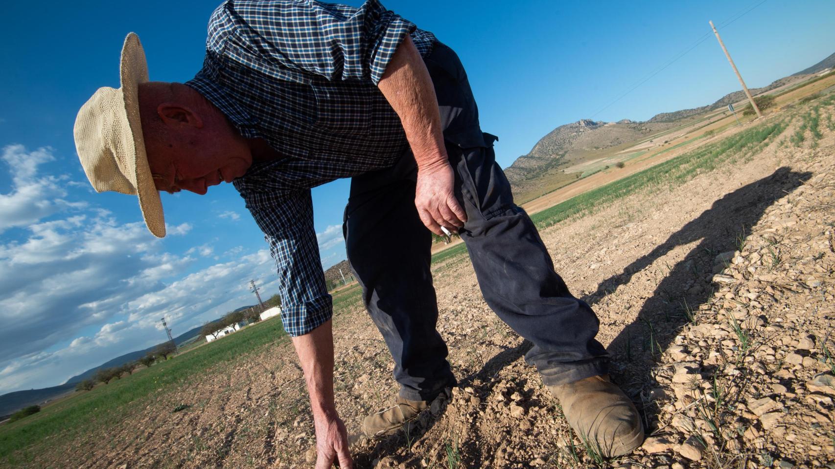 Un agricultor muestra tierra seca en Murcia.