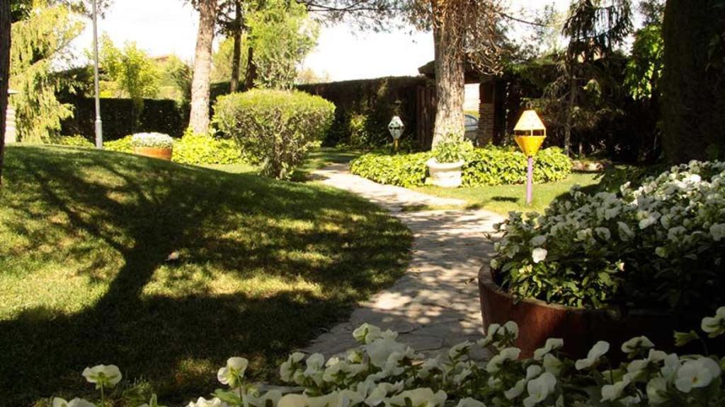 Fotografía de la terraza