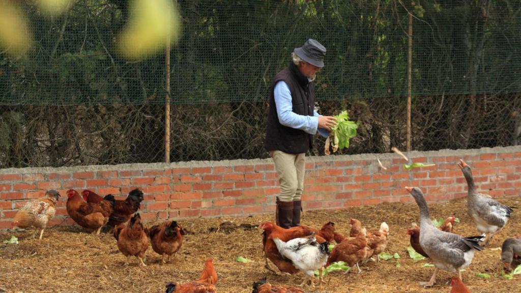 Una de las zonas del restaurante con los animales