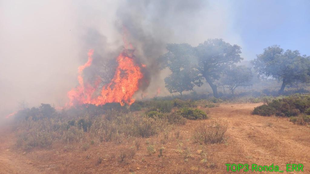 Una imagen del incendio.