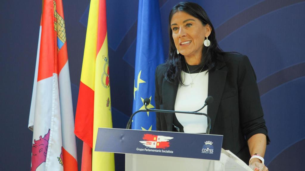 La secretaria de Organización del Partido Socialista de Castilla y León (PSOECyL), Ana Sánchez