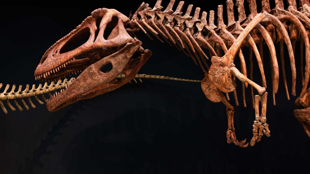 'Dinosaurios de la Patagonia', la nueva exposición de CaixaForum Madrid. Foto: CaixaForum