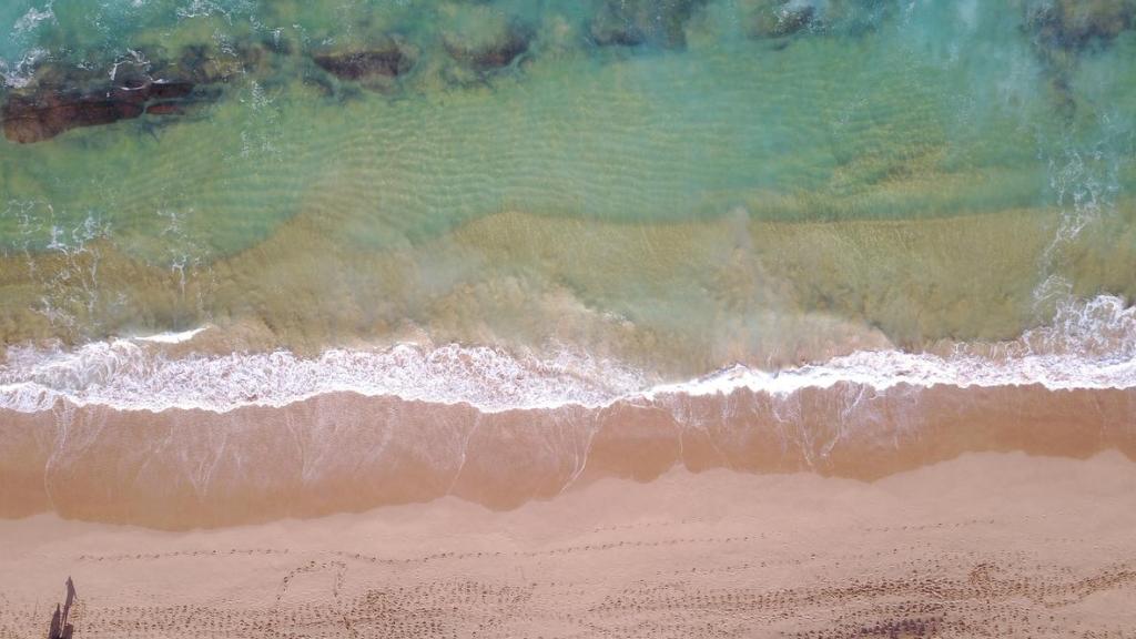 Imagen de una playa.