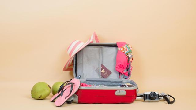 ¿Qué comida se puede llevar en el avión? Alimentos que sí están permitidos en el equipaje de mano