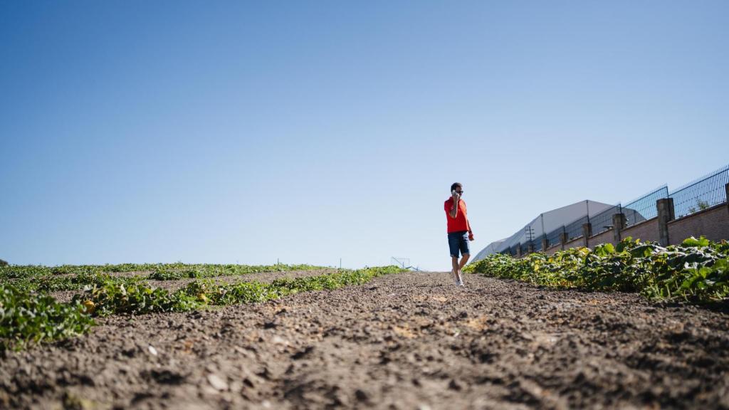 José Ramón de la Morena habla por teléfono en su melonero.