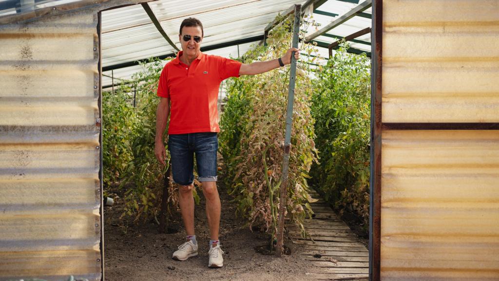 José Ramón de la Morena en la tomatera.