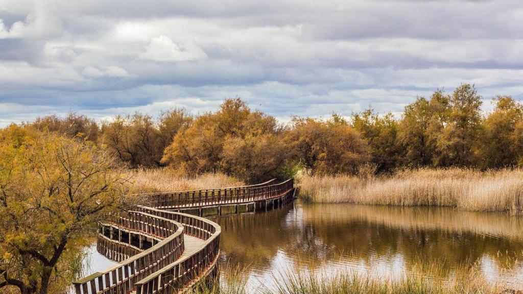 Fotografía de Las Tablas de Daimiel, nacimiento del río Guadiana.