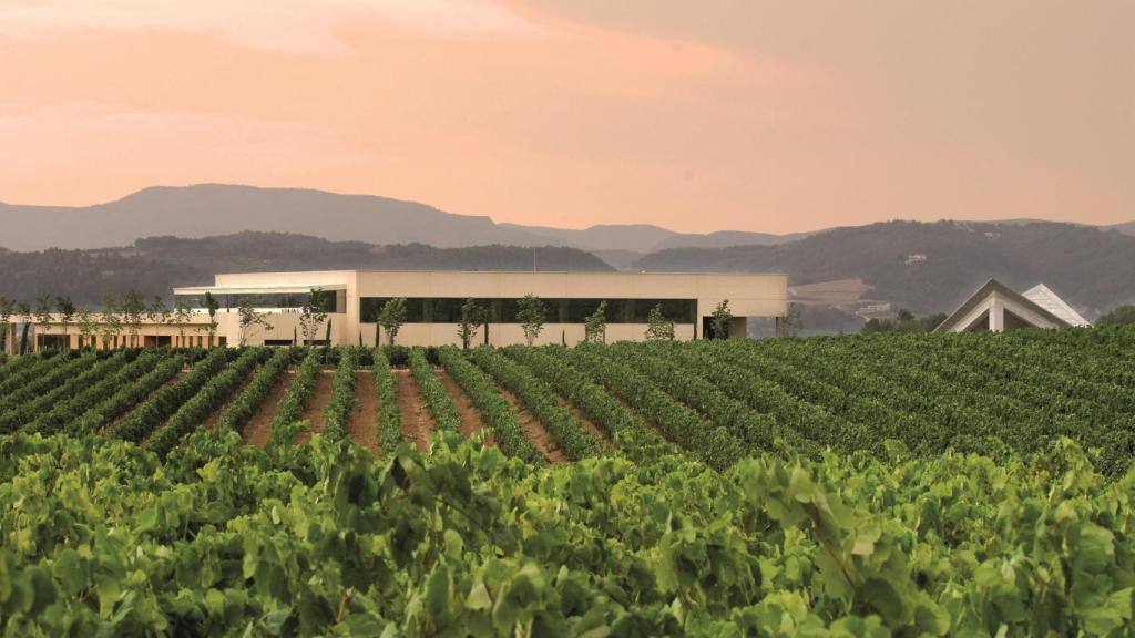 Vista de la bodega Vilarnau