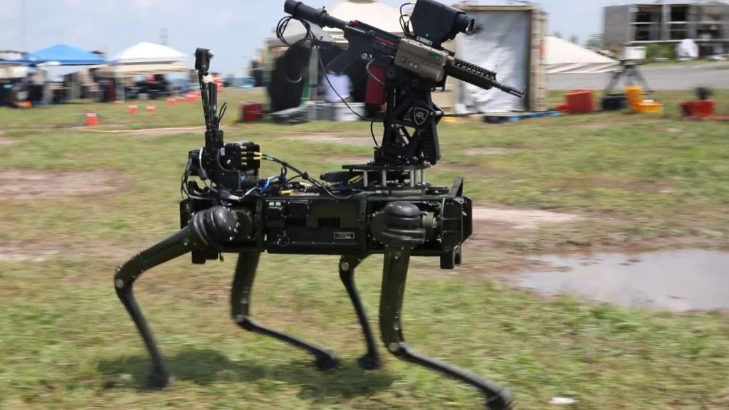 se permiten perros en los cuarteles del ejército en fort drum, nueva york