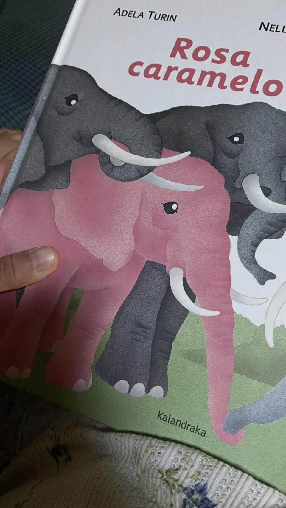 El libro 'Rosa caramelo', de Adela Turín.