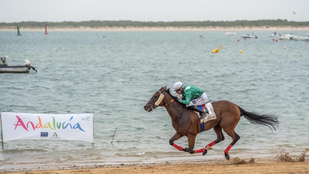 Caballos corriendo en una de las carreras del día