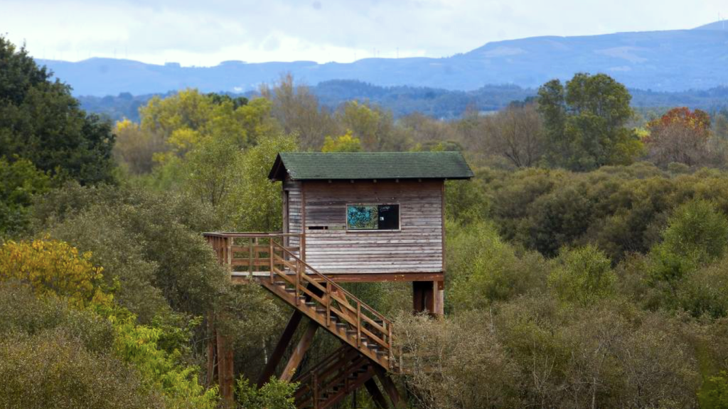 Observatorio de aves en la laguna de Cospeito
