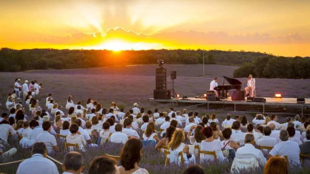 Festival de la lavanda. Foto: Turismo de Castilla-La Mancha