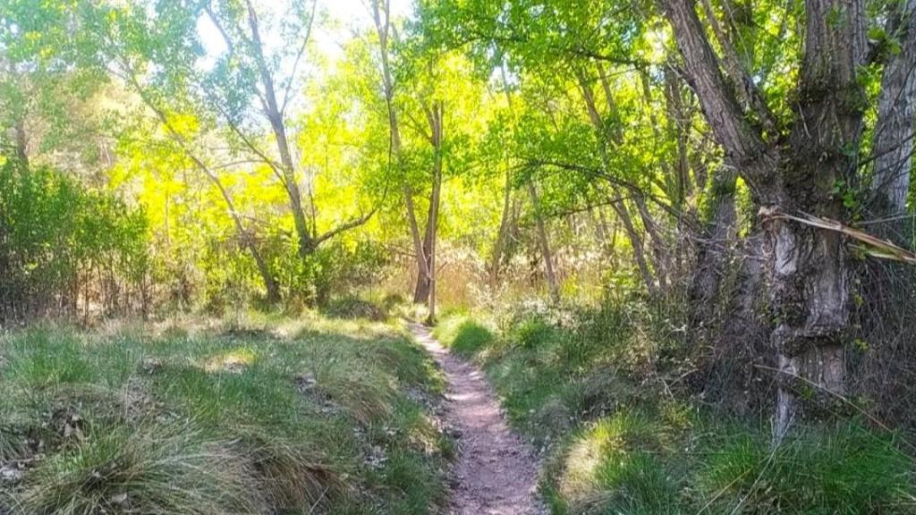 Los entornos de la Font del Quinzet.