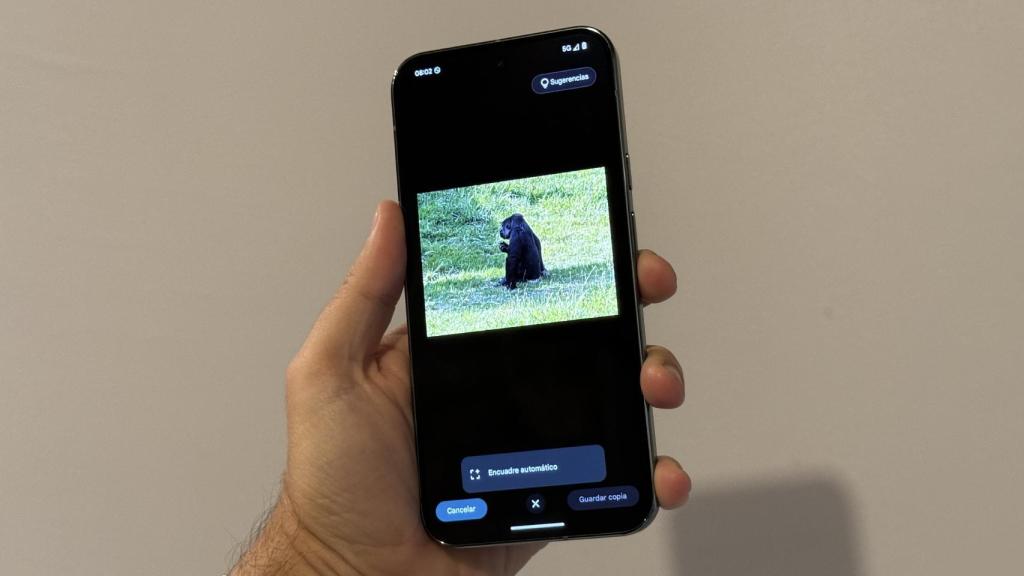 Google Pixel 9 y Pixel 9 Pro XL