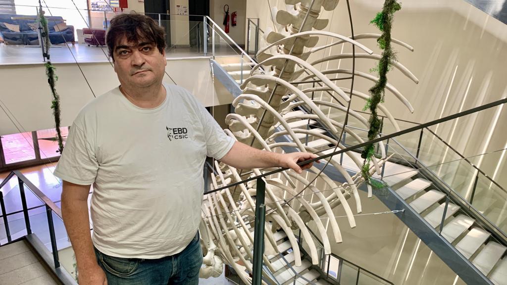 Jordi Figuerola, investigador del CSIC en la Estación Biológica de Doñana.