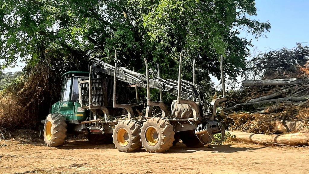 Maquinaria pesada talando árboles. Foto: Ardeidas.