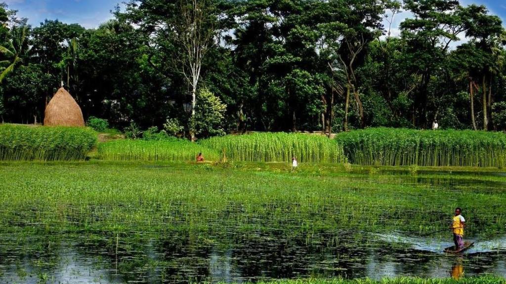Río en Sylhet, al noreste del país.