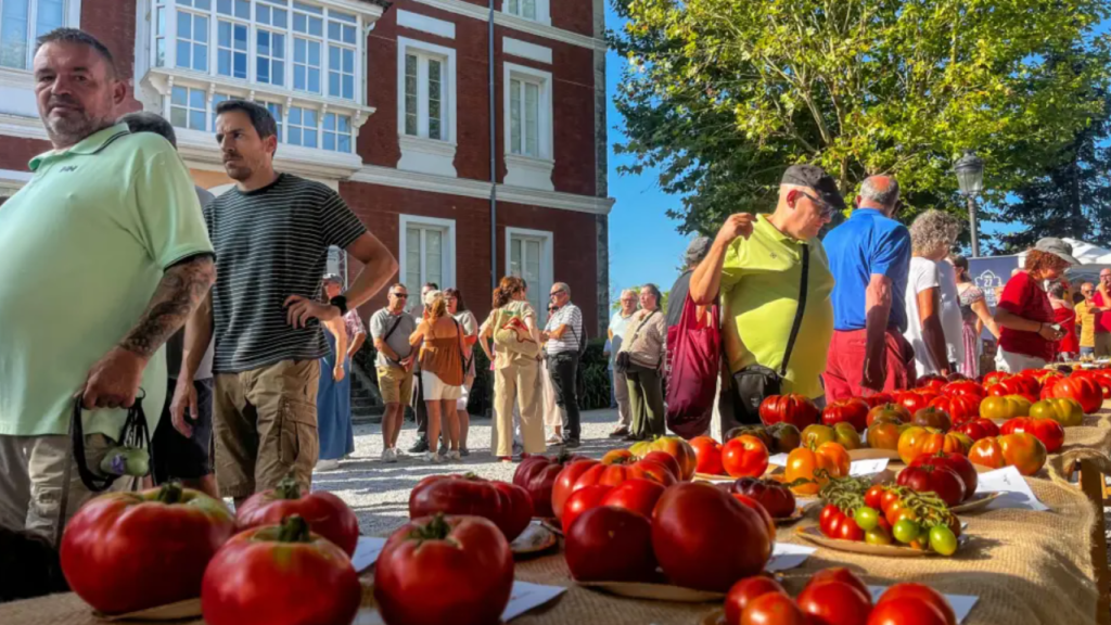 Feria Nacional del Tomate Antiguo de Polanco.