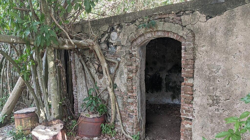 Ruinas de una plantación de azúcar en Vieques.