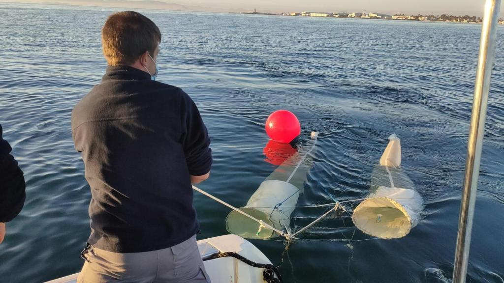 El doctor en Ecología Marina, Alfredo fernández-Alias, trabajando en el Mar Menor.