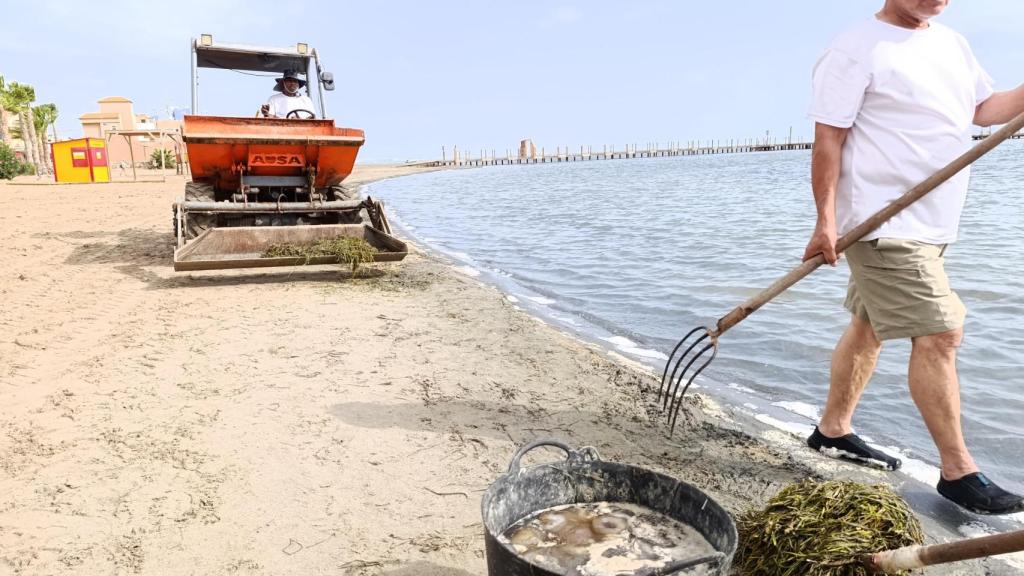 Varios miembros del equipo de limpieza trabajan en una playa del Mar Menor en Los Urrutias.