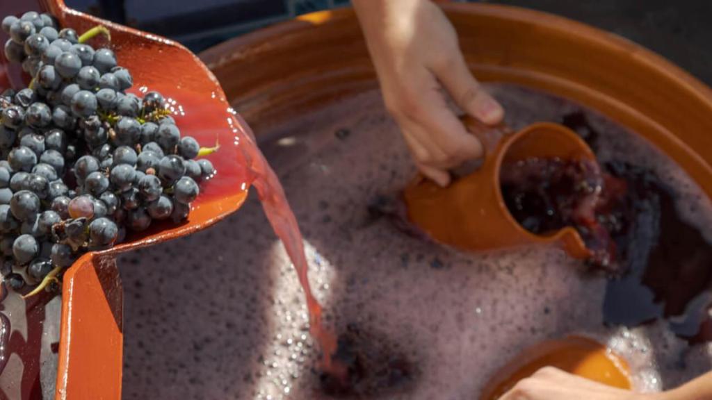 Fiesta de la vendimia en Ribera del Duero