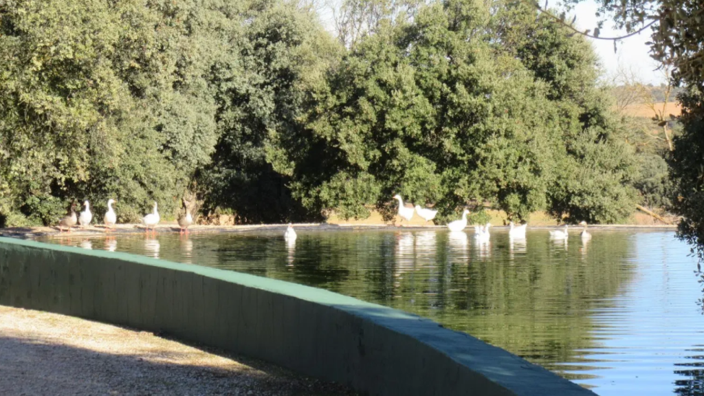 Finca en venta en Argamasilla de Alba (Ciudad Real).