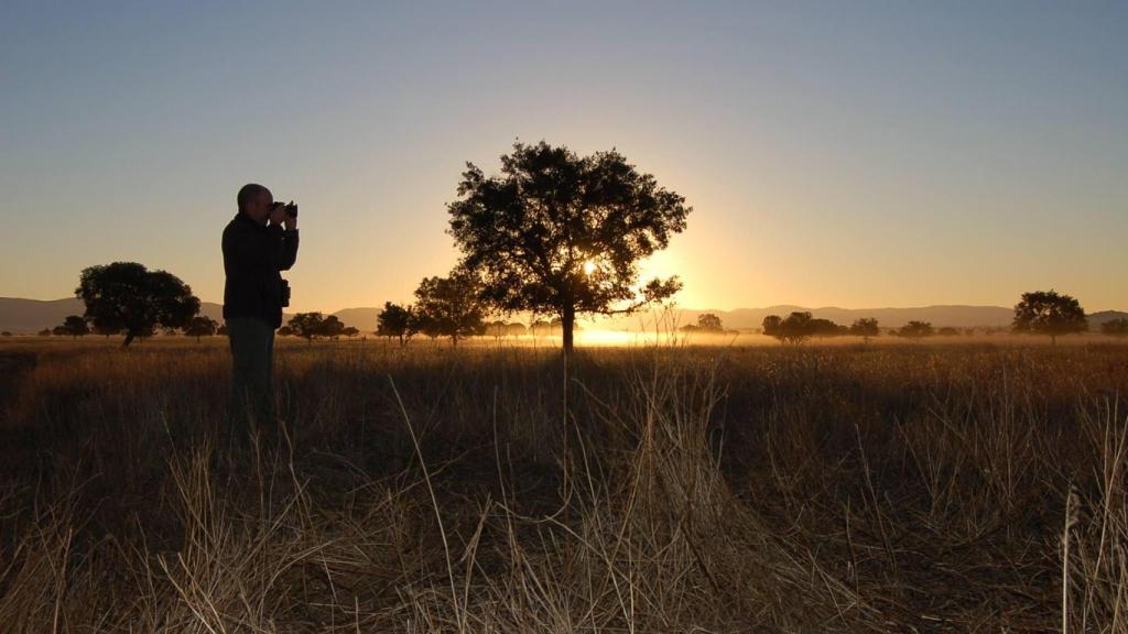 Una imagen del Parque Nacional de Cabañeros al anochecer.