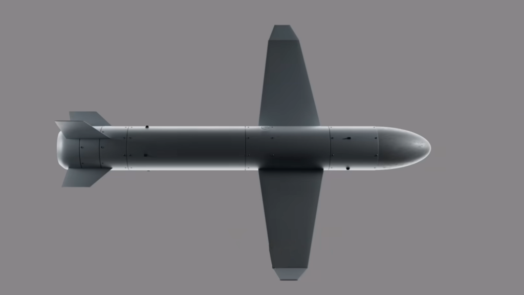 Dron de largo radio Palianytsia