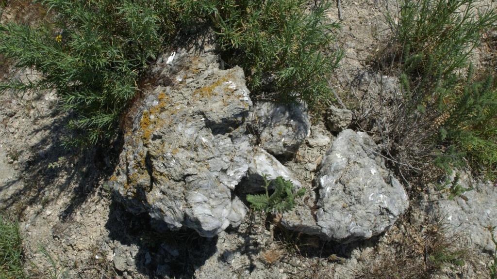 Piedras de yeso del municipio de Valdemoro.