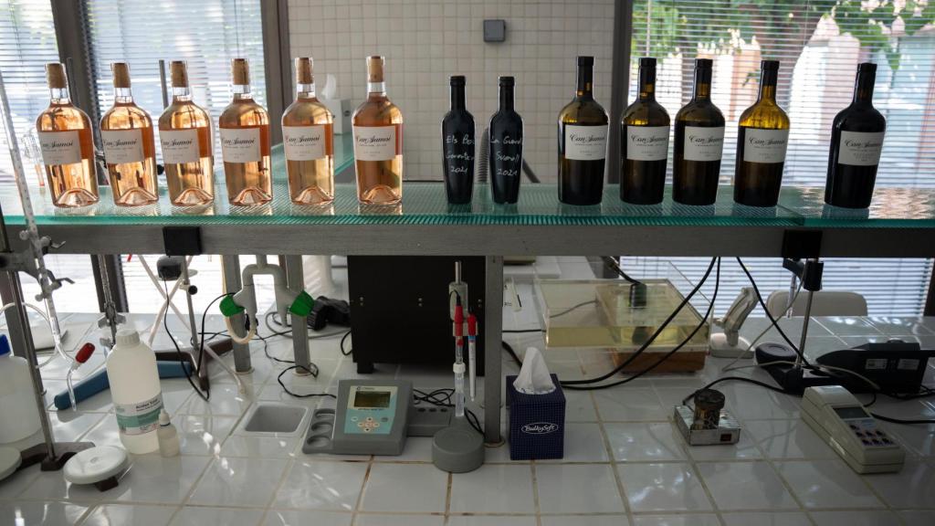 Vista de varias botellas de Raventós i Blanc.