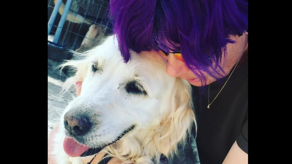 Terapia con perros de apoyo de la Asociación Hydra.