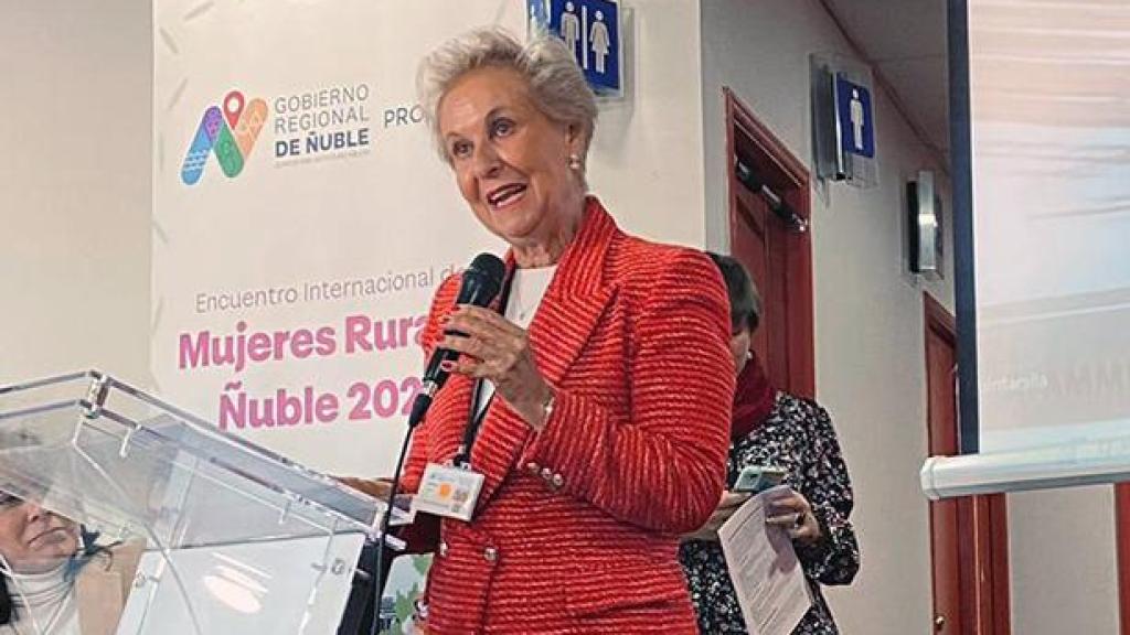 Carmen Quintanilla, presidenta nacional de AFAMMER, en Chile.