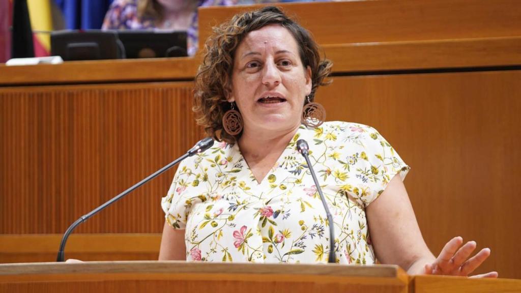 Marta de Santos, ex coordinadora de Podemos Aragón en una imagen de archivo.