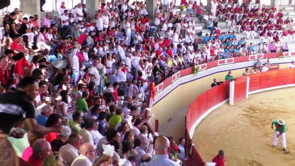 Tercera y última novillada del Piñón de Oro en Pedrajas de San Esteban