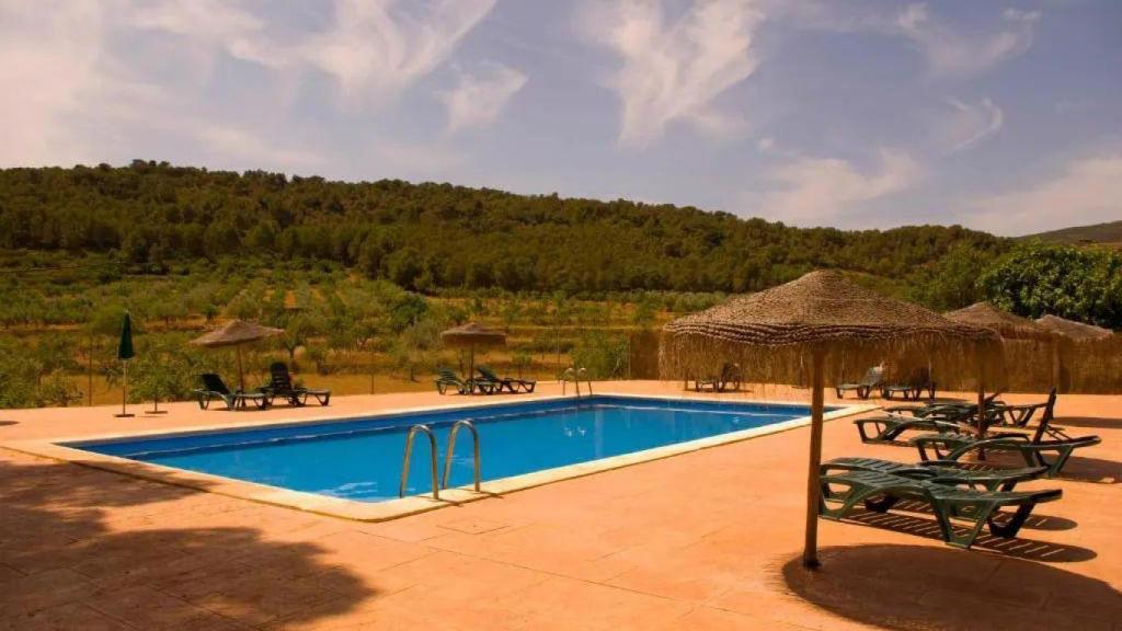 Piscina y zona de jardín. La Masía de San Juan