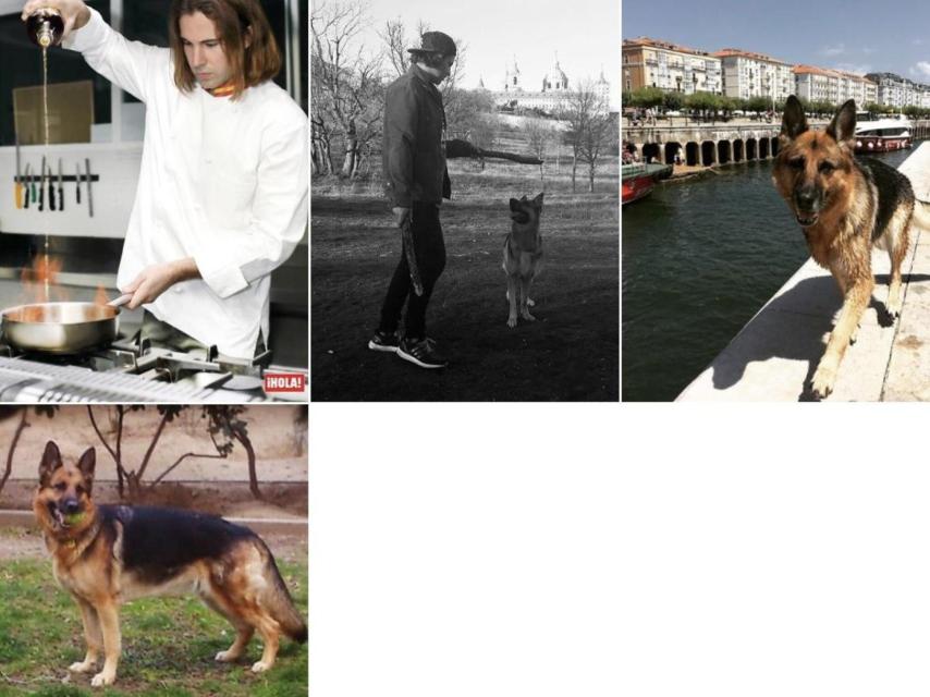 Las únicas cuatro fotos que quedan en su 'feed'.