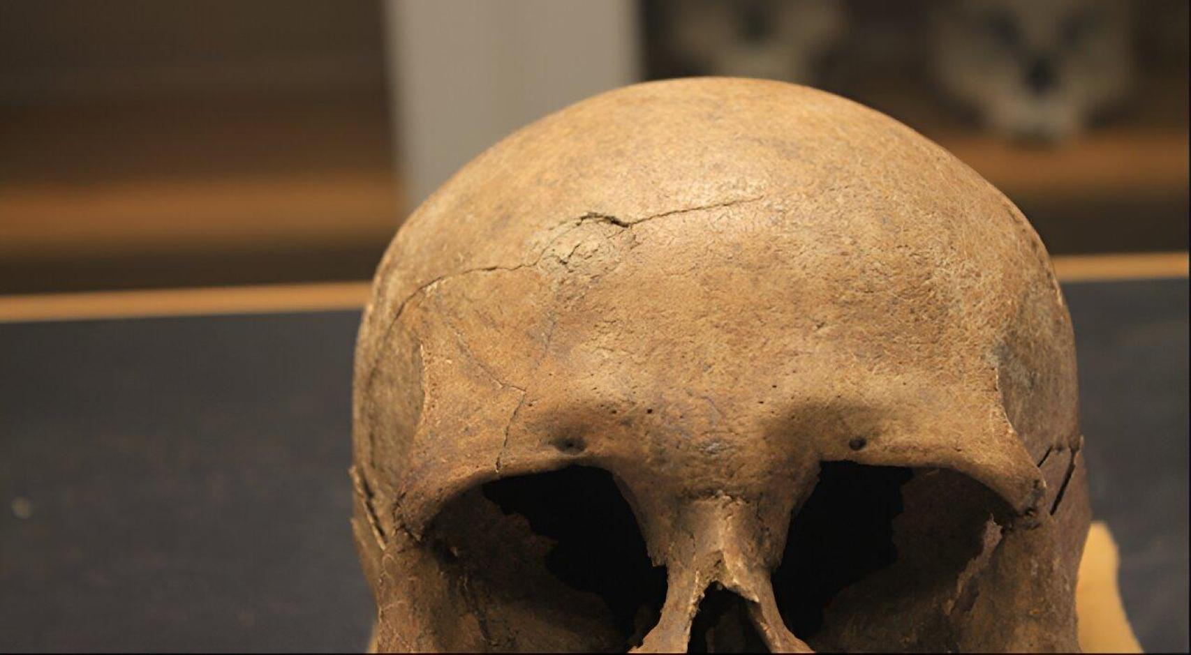 Uno de los cráneos empleados en el estudio con la marca de un traumatismo.