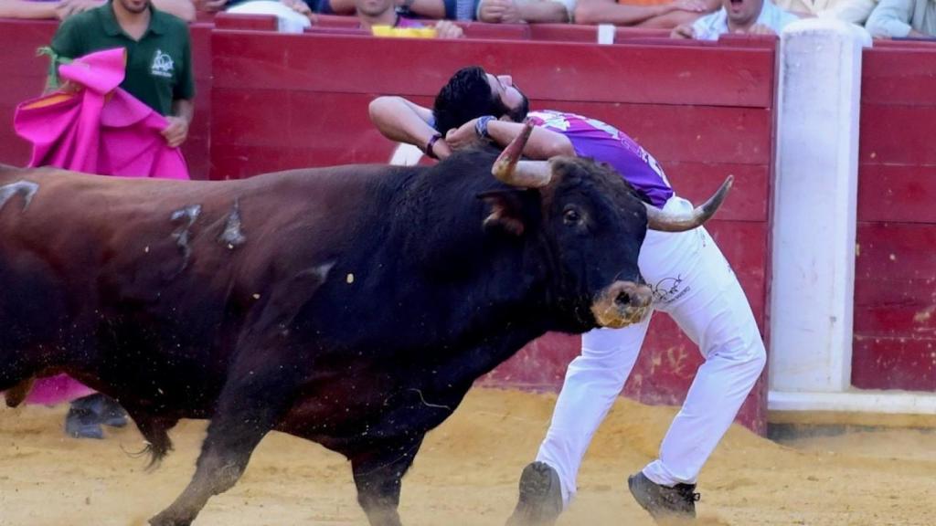 Concurso de cortes de Valladolid