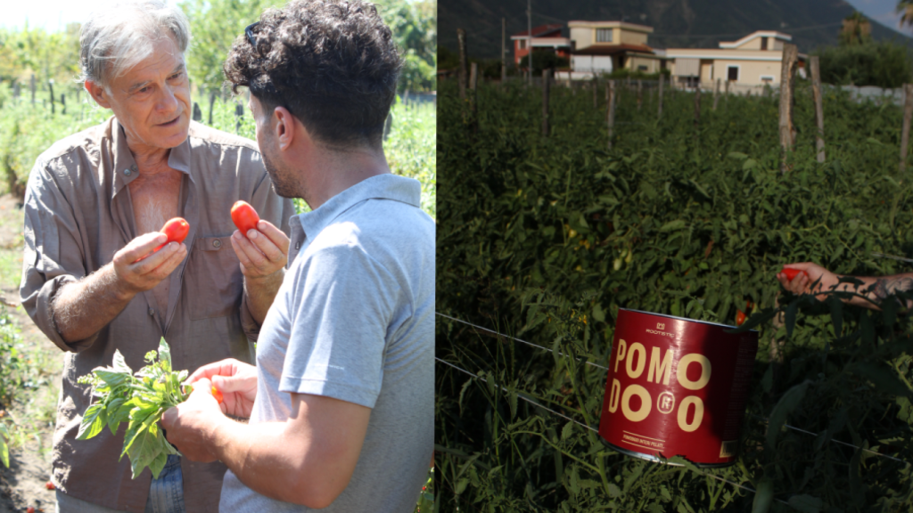 Un legado con sabor a tomate.
