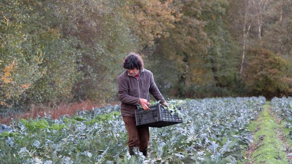 Manuel García, agricultor de A Limia (Ourense) y activista ambiental.
