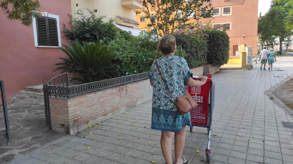 Una persona lleva el carro de la compra hasta la puerta de su casa.