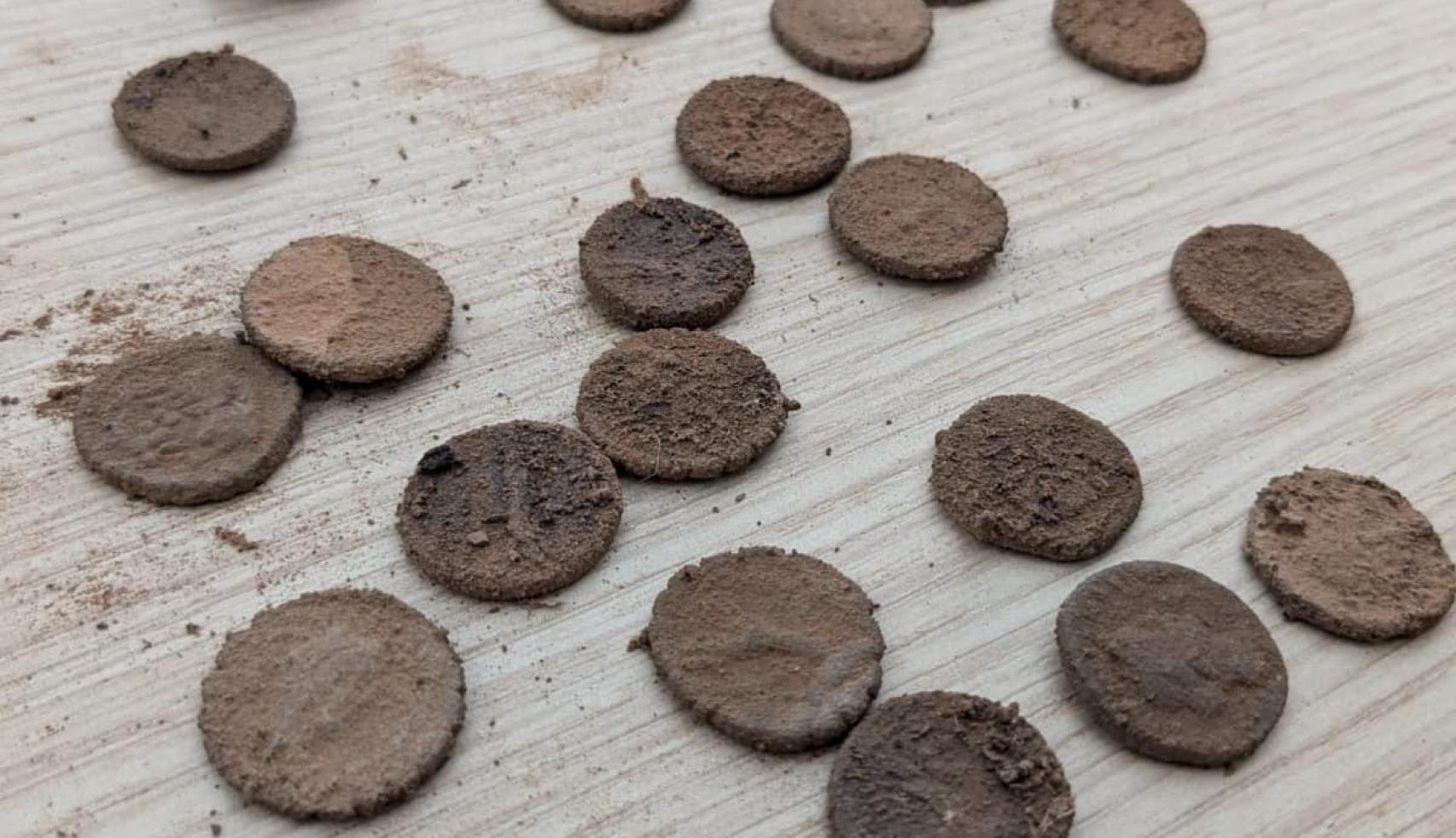 Aspecto de las monedas en el momento de su hallazgo.