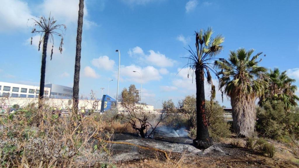 Una imagen del incendio.