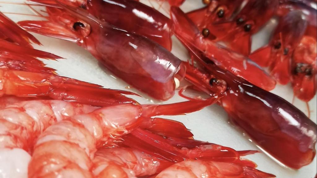 Un plato de gambas en el local dirigido por Rafael Molina.