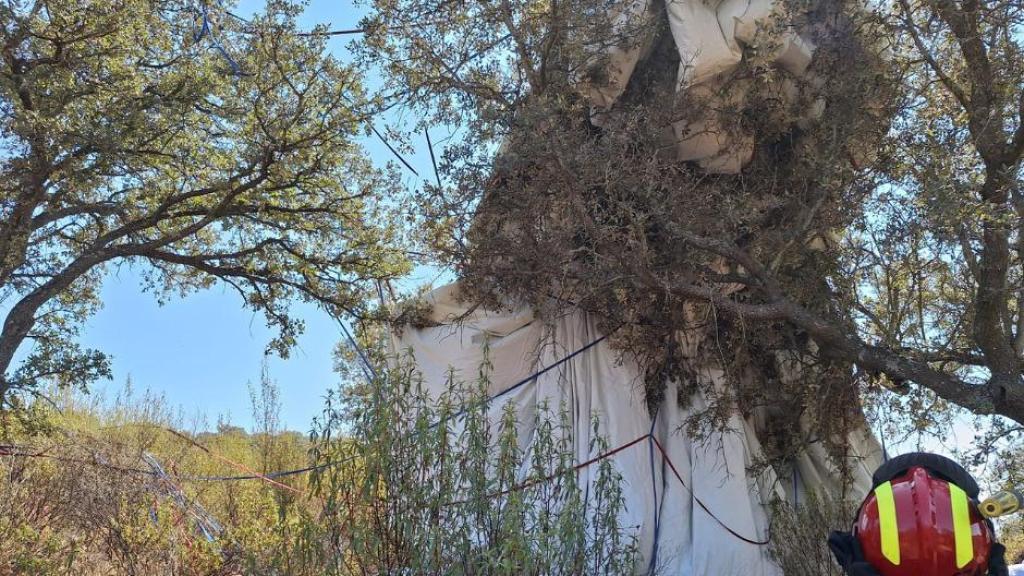 Accidente de globo en Ciudad Real. Foto: SCIS Ciudad Real.